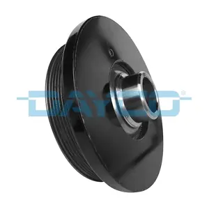 DPV1196 DAYCO