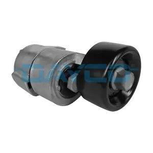 APV2989 DAYCO