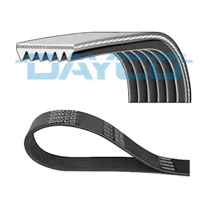 DAYCO 6PK1125