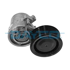 APV4498 DAYCO