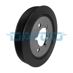 DPV1217 DAYCO