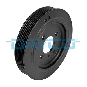 DAYCO DPV1179