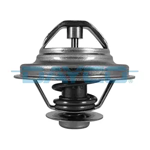 DAYCO DT1009V