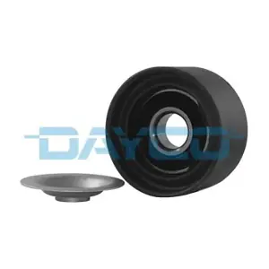 APV1092 DAYCO