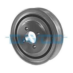 DAYCO DPV1008