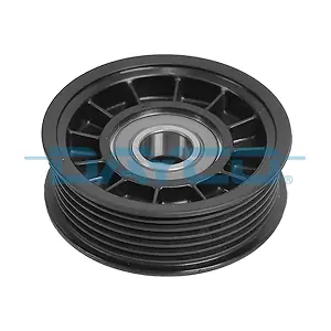 APV2598 DAYCO