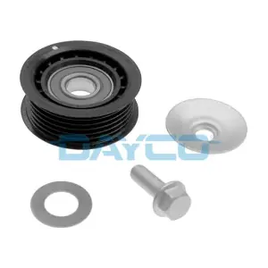 APV2176 DAYCO