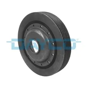 DAYCO DPV1061