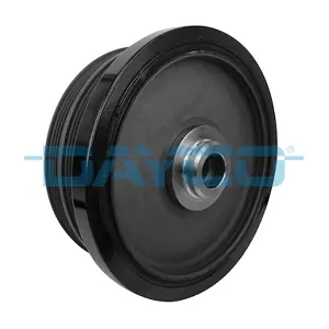 DAYCO DPV1059