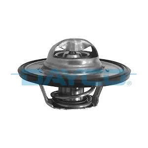 DAYCO DT1019V