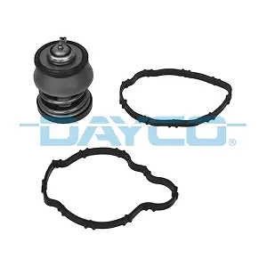 DAYCO DT1326V
