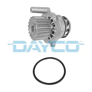 DAYCO DP163