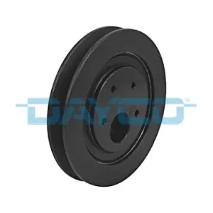 APV2667 DAYCO