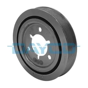DAYCO DPV1029