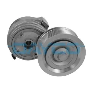 APV1096 DAYCO