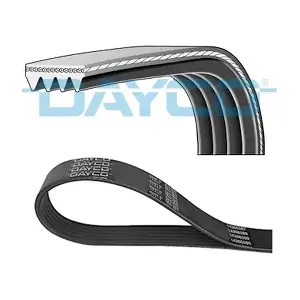 DAYCO 4PK841