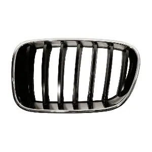 51117510725 BMW