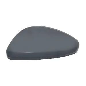 981700011T DS