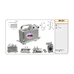 AHE 804.031