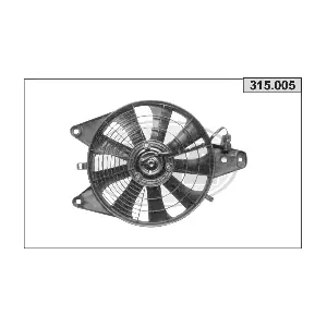 315005 AHE
