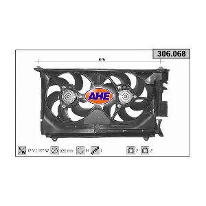306068 AHE