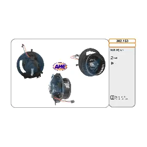 AHE 302.163