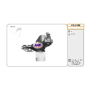 AHE 810.019M