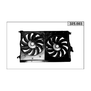 325003 AHE