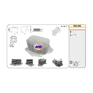 AHE 806003