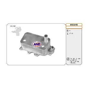 AHE 810019