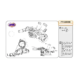 AHE FT123009M