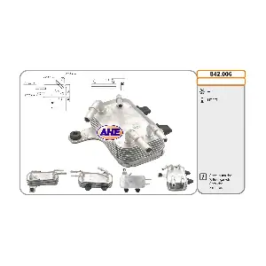 842.006 AHE
