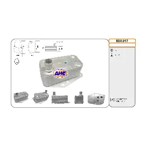 804.017 AHE