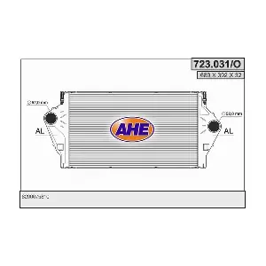723031/O AHE