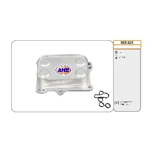AHE 809.021