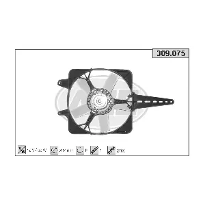 309075 AHE