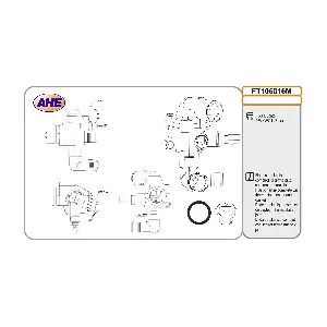 FT106016M AHE