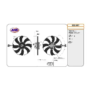 302087 AHE