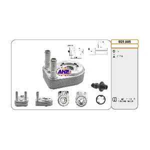 809009 AHE
