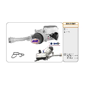AHE 809.018M1