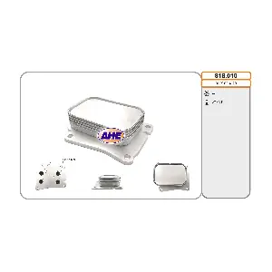 818.010 AHE