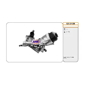 821.013M AHE