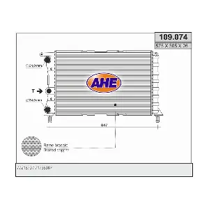 109074 AHE