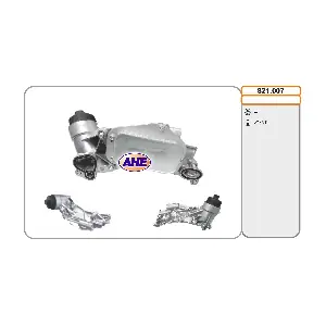 AHE 821.007