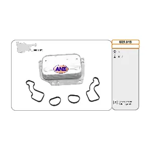 809.019 AHE