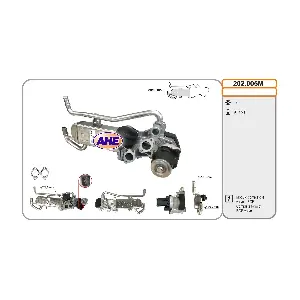 202005M AHE