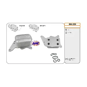 AHE 806.020