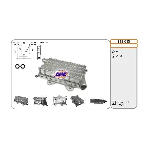 AHE 818.013