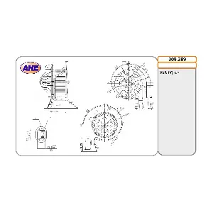 AHE 309.389