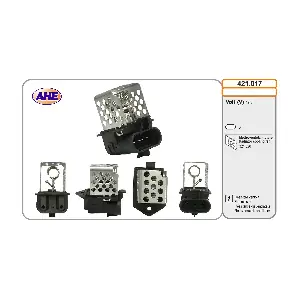 421017 AHE